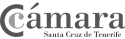 logo-camtf-gray